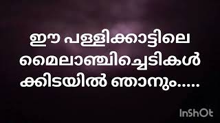 ഈ പള്ളിക്കാട്ടിലെ മൈലാഞ്ചി ചെടികൾക്കിടയിൽ ഞാനും...