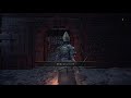 dark souls 3 invasions sl100 quality build 上質