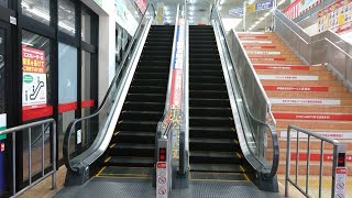 ベスト電器八幡本店 エスカレーター 東芝