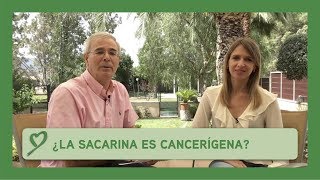 ¿La SACARINA es cancerígena?