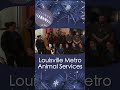 happy howlidays from louisville metro animal services