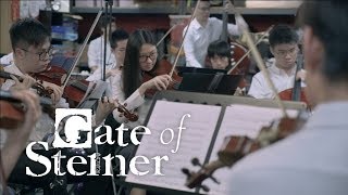 Steins;Gate — Gate of Steiner • Orchestral Cover • HKDP