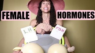 What Happens to Female Hormones During Menopause - 9