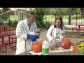 KSAT Kids Home Science: Pumpkin Bottle Rockets