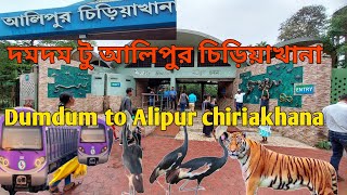 Kolkata alipur zoo||Alipur chiriakhana|| আলিপুর চিড়িয়াখানা|| Dumdum to alipur chiriakhana #kolkata