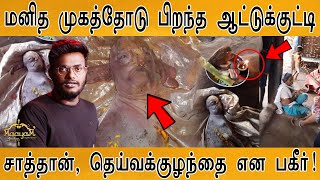 மனித முகத்தோடு பிறந்த ஆட்டுக்குட்டி | சாத்தான், தெய்வக்குழந்தை? | Karthick MaayaKumar | Big Topic |