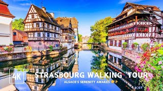 🇫🇷 Strasbourg Morning Walk | Alsace's Serenity Awakes 🌞✨