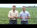 manure usage from ag phd show 540