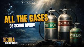 What Gases Do SCUBA Divers Breathe? From Air To Trimix, Hydreliox & Beyond