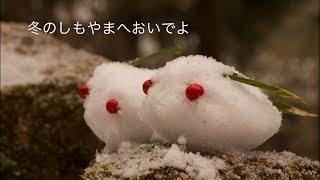 愛知県豊田市しもやま　冬でも楽しいしもやま （４K動画　LUMIXGH5で撮影）