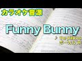 カラオケ音源『funny bunny』 the pillows【ボーカル】