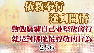 236巴利藏佛陀法語錄-依教奉行,達到開悟｡勤勉磨練自己並堅決修行, 就是對佛陀最尊敬的行為｡