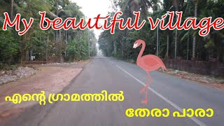 My beautiful village | എൻ്റെ നാട്ടിലൂടെ തേരാ പാരാ