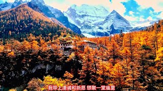 川西旅遊 - 稻城亞丁沖古寺央邁勇雪山仙乃日雪山