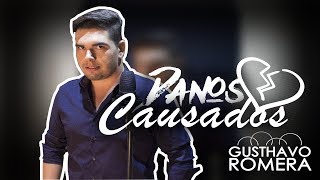 Danos Causados - Gusthavo Romera