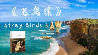 飞鸟集 Stray Birds 21-50 | 泰戈尔著名诗集  Tagore poems 中英双语朗诵| Stray Birds in English/Chinese| 飞鸟集中英对照|泰戈爾飛鳥集