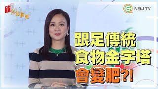 食物金字塔有好多種｜@yan.chanhoiyan |【欣言話你知】#20