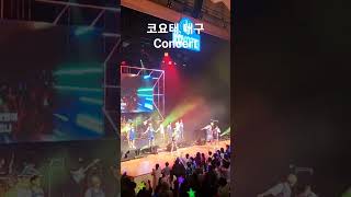 코요태 대구 콘서트