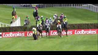 Ban horse racing - another death at the Punchestown festival. R.I.P Polished steel