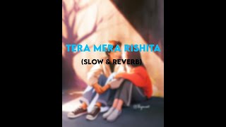 TERA MERA RISHTA (SLOW & REVERB) - LOFI SONG