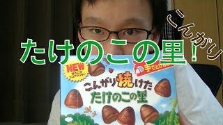 焼けちゃったよ笑　こんがり焼けたたけのこの里食べてみた！