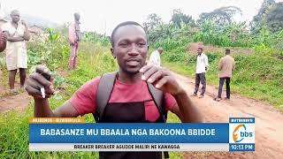 Abasawo E Mubende Bakwatiddwa, Babasanze Mu Bbaala Nga Bakoona Bbidde