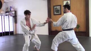 Karate Crescent Kick and Sweep 02