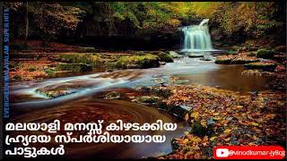 Vaishakha Pournamiyo |വൈശാഖപൗർണ്ണമിയോ HD |  Parinayam | Malayalam Film Song| #kschitra