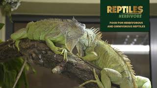 Reptiles HERBIVORE - Food for herbivorous and omnivorous reptiles.