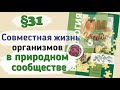 Краткий пересказ §31 Совместная жизнь организмов в природном сообществе. Биология 6 класс Пономарева