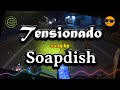 Soapdish - Tensionado (song lyrics)