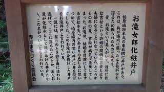 ２ディープ名張：伊賀忍者、最後の攻防の城、柏原城跡（裏が百済の琴平山古墳）！キリシタン信長＆明智＆（新羅の徳川）がミトラ教の百済の軍事部隊・忍者（朝廷には悪党）に勝った「天正伊賀の乱」！