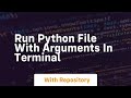 run python file with arguments in terminal