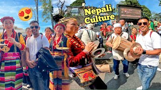 😱Nepali Culture Celebrating Dussehra At Darjeeling | 🥳Fulpathi Shova Yatra 2022 | Darshan Vlogs |