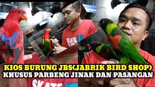 UPDATE HARGA BURUNG PARUH BENGKOK TERBARU HARI INI DIPASAR BURUNG PRAMUKA KIOS JBS