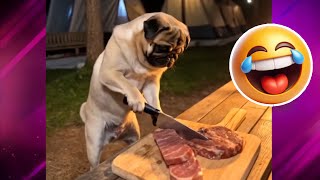 Absurd memes that taught my dog how to cook