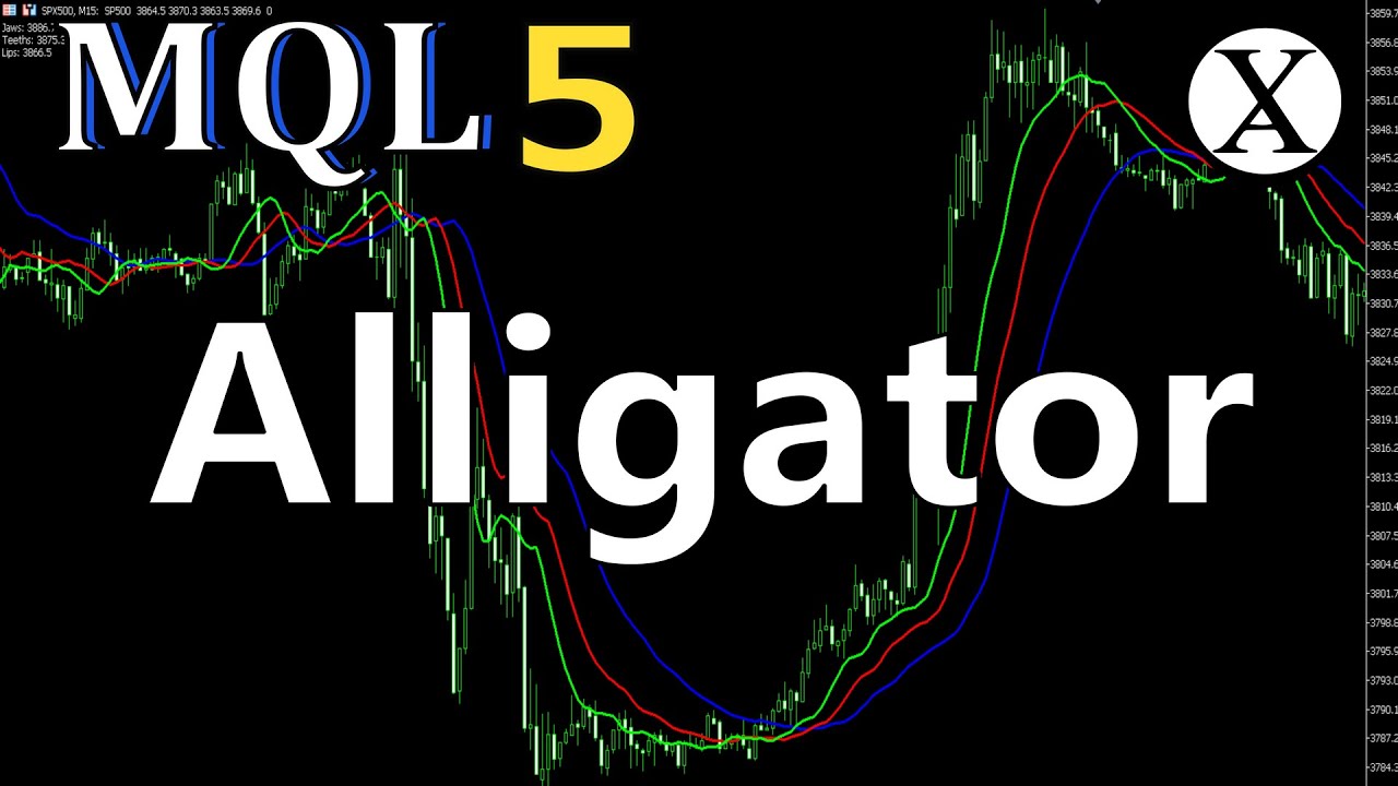 Alligator Indicador Tutorial Ea Mt5 Mql5 Youtube