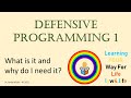 Defensive Programming 1