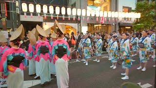 東京　神楽坂まつり2024 阿波踊り Japan Walk 4K 2024.07.26 (二)