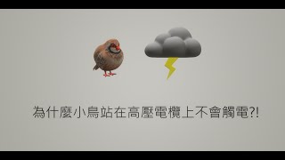 為什麼小鳥站在高壓電欖上不會觸電?! #小鳥 #電欖 #觸電 - 輕鬆冷知識 EP38