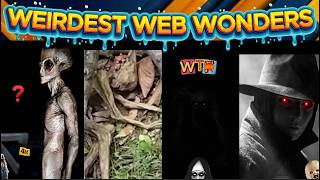 weirdest web wonders vol 203