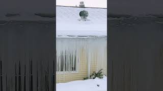 Hanging Icicles #icicles #winter #frosty #hanging #icicles #roof #cold #snow