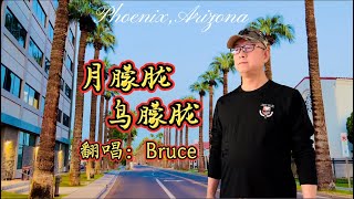 《月朦胧鸟朦胧》-cover by Bruce 灯朦胧人朦胧，但愿同入梦！#美国生活 #实景拍摄 #真人真唱 #好歌分享 #翻唱