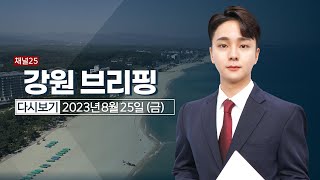 강원브리핑 8월 25일(금) 23년