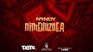 Nandy - Nimekuzoea (Lyrics )