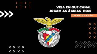 Em Que Canal Dá O Benfica Hoje | Onde Dá A Bola?