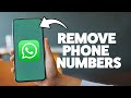 How To Delete Phone Numbers From WhatsApp 2025 (iPhone & Android)