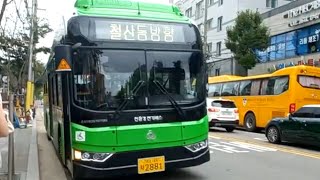 서울 지선버스 6616탑승영상