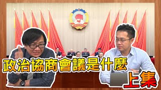 【羅文公民Sean你說】#15 台灣人最搞不懂的對岸政治機構(上) 政治協商會議到底是什麼? feat.柴Sean你說