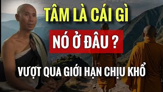 Tâm Là Cái Gì Nó Ở Đâu | Thầy Minh Tuệ | Chia Sẻ Phật Pháp.